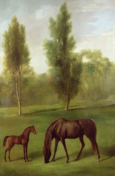 Kaštanová klisna a hříbě v zalesněné krajině, kolem 1761-63 (olej na plátně) od George Stubbs
