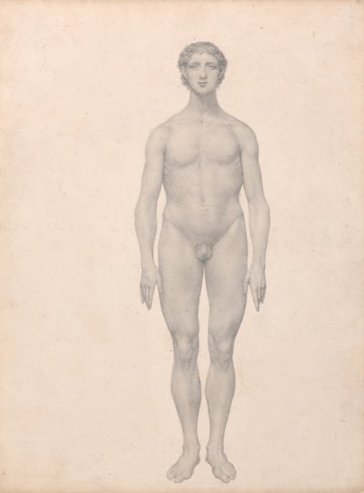 Srovnávací anatomický výklad stavby lidského těla s tělem tygra a běžné drůbeže:  (Dokončená studie k tabulce VI) od George Stubbs