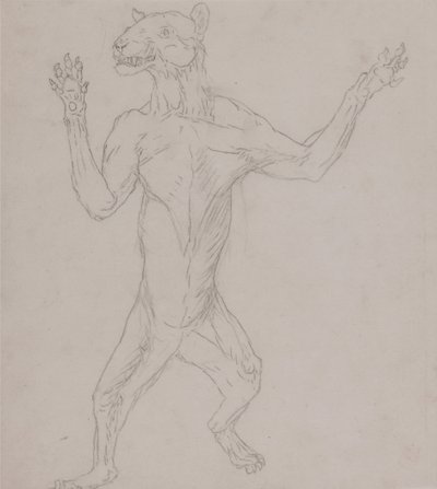 Srovnávací anatomický výklad stavby lidského těla s tělem tygra a běžné drůbeže:  Tělo tygra, stojícího v lidském postoji od George Stubbs
