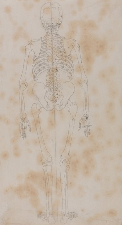 Srovnávací anatomický výklad stavby lidského těla s tělem tygra a běžné drůbeže: (Snad první ze studií o kostře) od George Stubbs