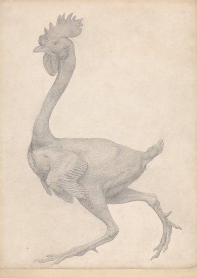 Srovnávací anatomický výklad stavby lidského těla s tělem tygra a běžné drůbeže: (Dokončená studie k tabulce X) od George Stubbs
