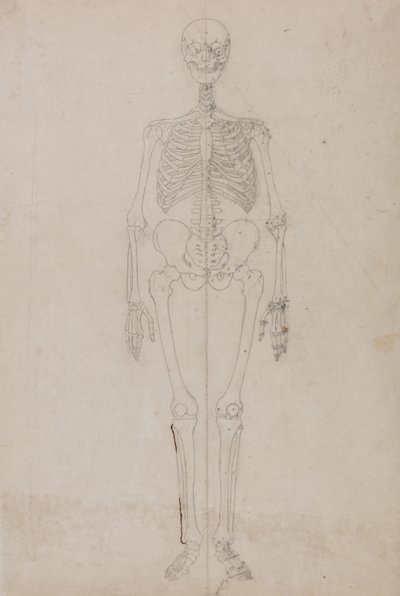 Srovnávací anatomický výklad stavby lidského těla s tělem tygra a běžné drůbeže:  (Závěrečná studie) od George Stubbs