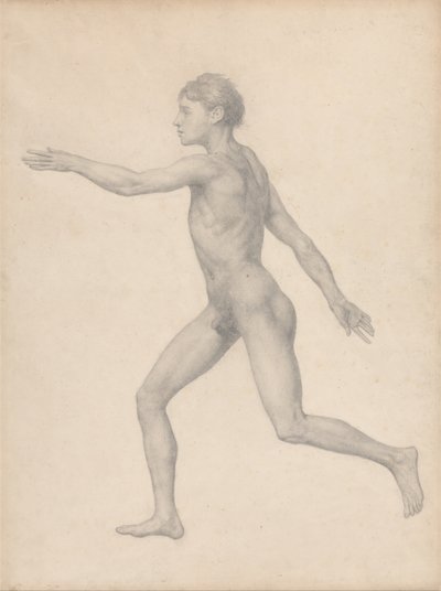 Srovnávací anatomický výklad stavby lidského těla s tělem tygra a běžné drůbeže: (Dokončená studie k tabulce VIII) od George Stubbs