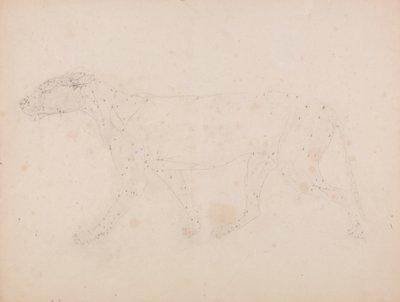 Srovnávací anatomický výklad stavby lidského těla s tělem tygra a běžné drůbeže: (Studie svalů pro klíčový obrázek k tabulce IX) od George Stubbs