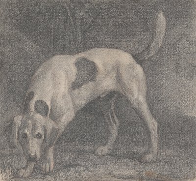 Foxhound on the Scent od George Stubbs