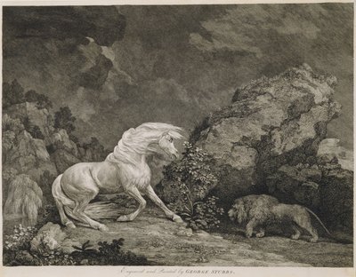 Kůň vystrašený lvem, vyryto umělcem od George Stubbs
