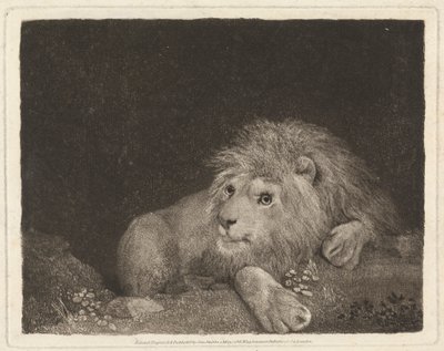 Lev [Ležící lev] od George Stubbs