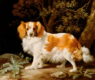 Játra a bílý španěl King Charles v zalesněné krajině od George Stubbs