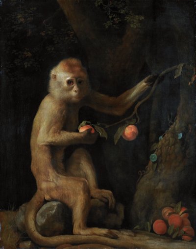 Opice od George Stubbs
