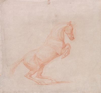 Vzpínající se kůň, čelem doprava od George Stubbs