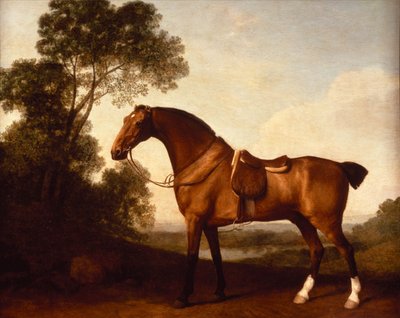 Osedlaný lovec ze zátoky od George Stubbs