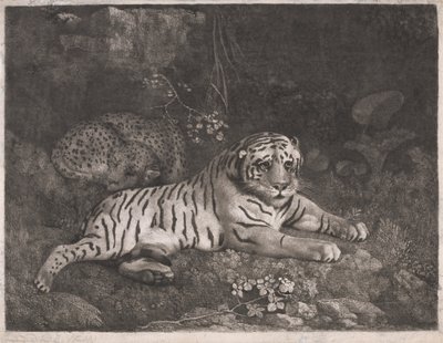 Tygr a spící leopard od George Stubbs