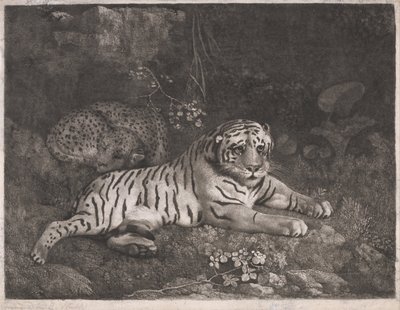 Tygr a spící leopard od George Stubbs