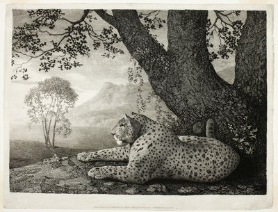 Tyger (Leopard u stromu) od George Stubbs