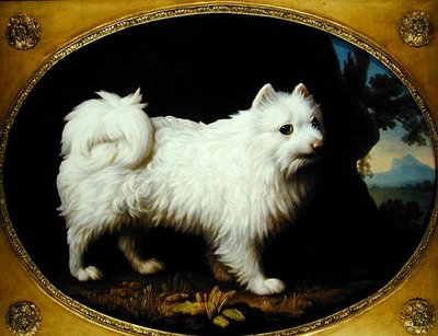 Bílý špic, asi 1770 (olej na smaltovaném porcelánu) od George Stubbs