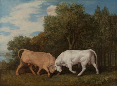 Býci bojují od George Stubbs