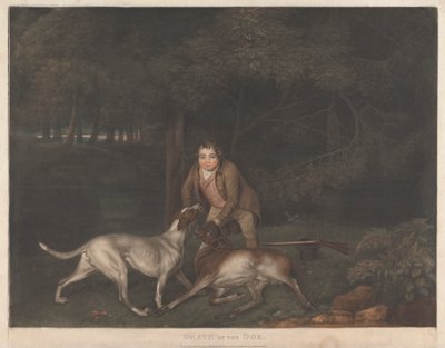 Smrt laně od George Stubbs