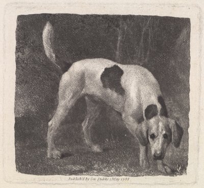 Pes (Foxhound on the Scent) rytý umělcem, hospoda. 1788 od George Stubbs