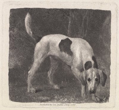 Pes [Foxhound on the Scent] od George Stubbs