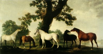 „Pět chovných klisen v hřebčíně vévody z Cumberlandu ve Windsor Great Park“, 1765, 1944. od George Stubbs