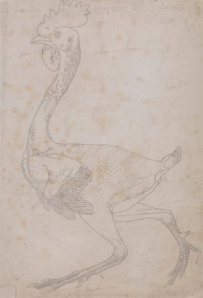Tělo drůbeže, boční pohled (pravděpodobně připraveno pro přenos na desku pro vyrytí klíčové figury do tabulky X) od George Stubbs