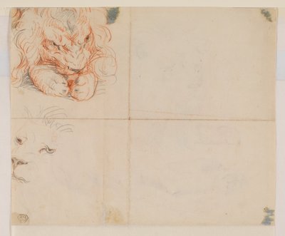 Hlava a tlapy lva, verso, 18. nebo 19. století od George Stubbs