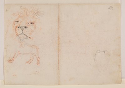 Hlava lva, verso, 18. nebo 19. století od George Stubbs