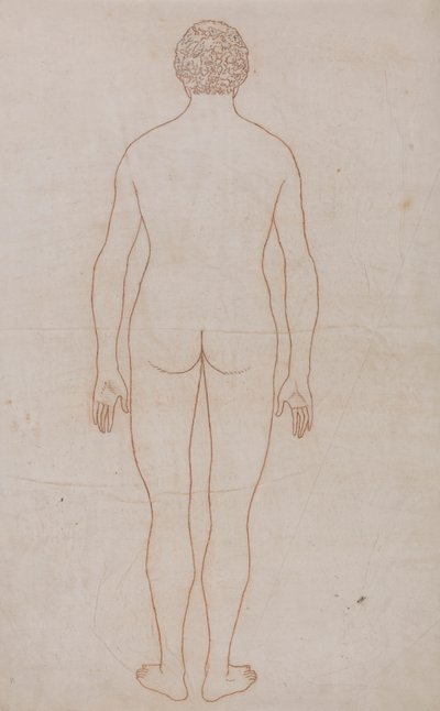 Lidské tělo, pohled zezadu (nákres pro tabulku VII) od George Stubbs