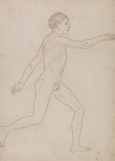 Lidská postava, boční pohled (nákres studie na opačné straně tabulky VIII) od George Stubbs