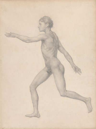 Lidská postava, boční pohled, nerozřezaný (Dokončená studie pro tabulku VIII) od George Stubbs