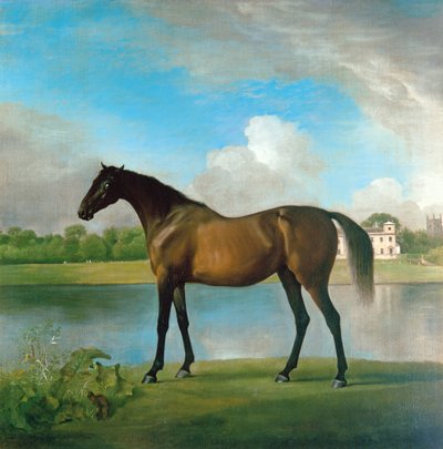 Rodná klisna lorda Bolingbrokea v Grounds of Lydiard Park, Wiltshire, cca 1764-66 (olej na plátně) od George Stubbs