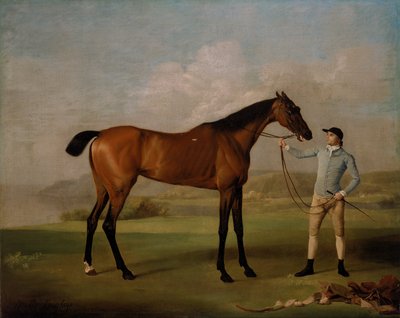 Molly Long-legs se svým žokejem od George Stubbs