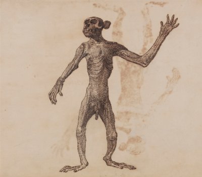 Opice Stojící, Pohled Zepředu od George Stubbs