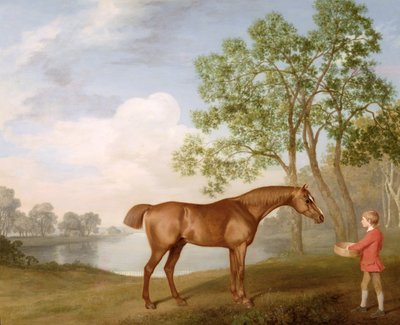 Dýně se stájovým chlapcem od George Stubbs