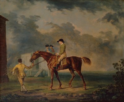 Sir Salomon, A Bay Racehorse s J. Singletonem, Newmarket (olej na plátně) od George Stubbs