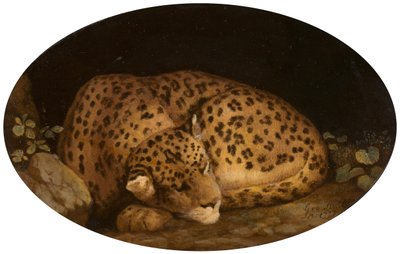 Spící leopard, 1777. od George Stubbs