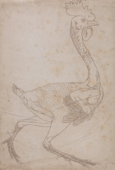 Studie drůbeže, boční pohled, ze Srovnávacího anatomického výkladu stavby lidského těla s tygrem a drůbeží, 1795-1806 (grafit a červená křída na papíře) od George Stubbs