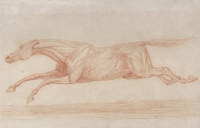 Studie dostihového koně v akci: cval doleva (červená křída na lesklém papíře) od George Stubbs