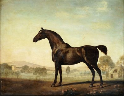 Sweetwilliam", závodní kůň Bay, v paddocku, 1779 od George Stubbs