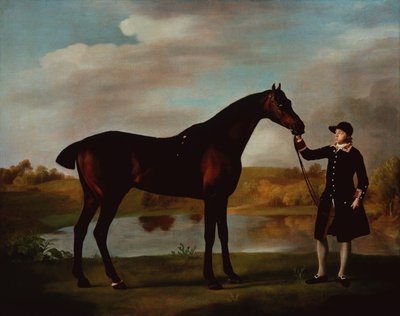 Lovec v zátoce vévody z Malborough s ženichem (olej na plátně) od George Stubbs