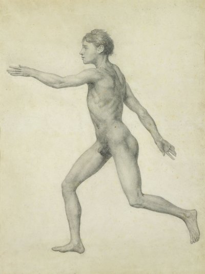 Celá lidská postava zleva, boční pohled, ze série „Srovnávací anatomická expozice stavby lidského těla s tygrem a drůbeží“. od George Stubbs