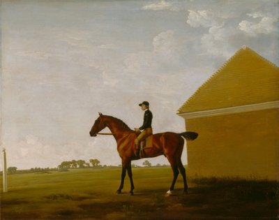 Turf, s žokejem nahoře, v Newmarketu od George Stubbs