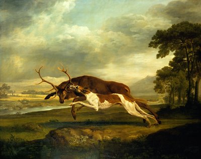 Neznámý obrázek od George Stubbs