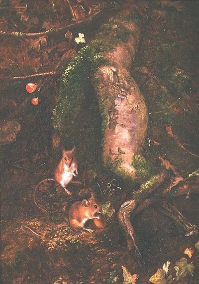 Polní myši na úpatí stromu, 1876 od George Thomas Rope