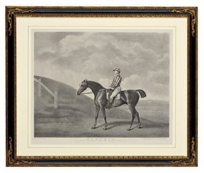 Dýně (tečkovaná rytina) od George Townley Stubbs