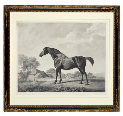 Sweetbrier (tečkovaná rytina) od George Townley Stubbs
