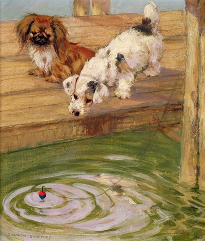 Peke a teriér od George Vernon Stokes