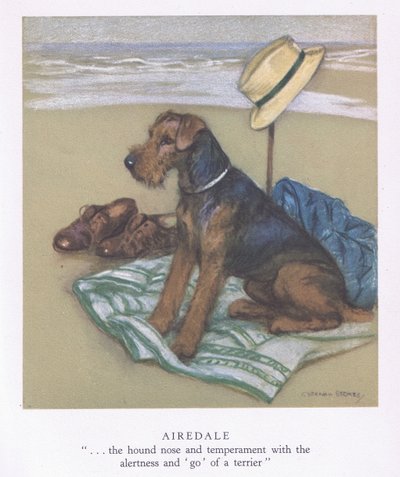 Airedale (barevná litografie) od George Vernon Stokes