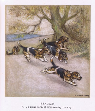 Beagles (barevná litografie) od George Vernon Stokes