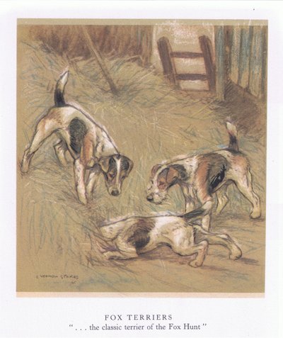 Foxteriéři (barevná litografie) od George Vernon Stokes